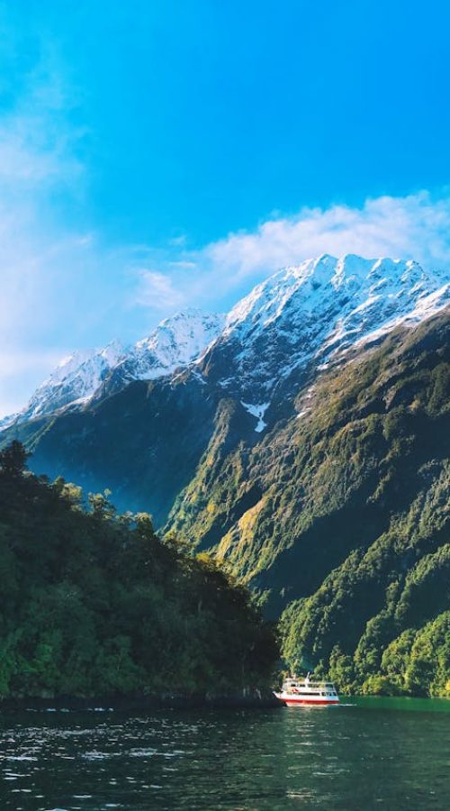 pexels-carmen-ong-584272-1353235