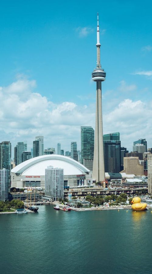 pexels-mvdheuvel-4490699